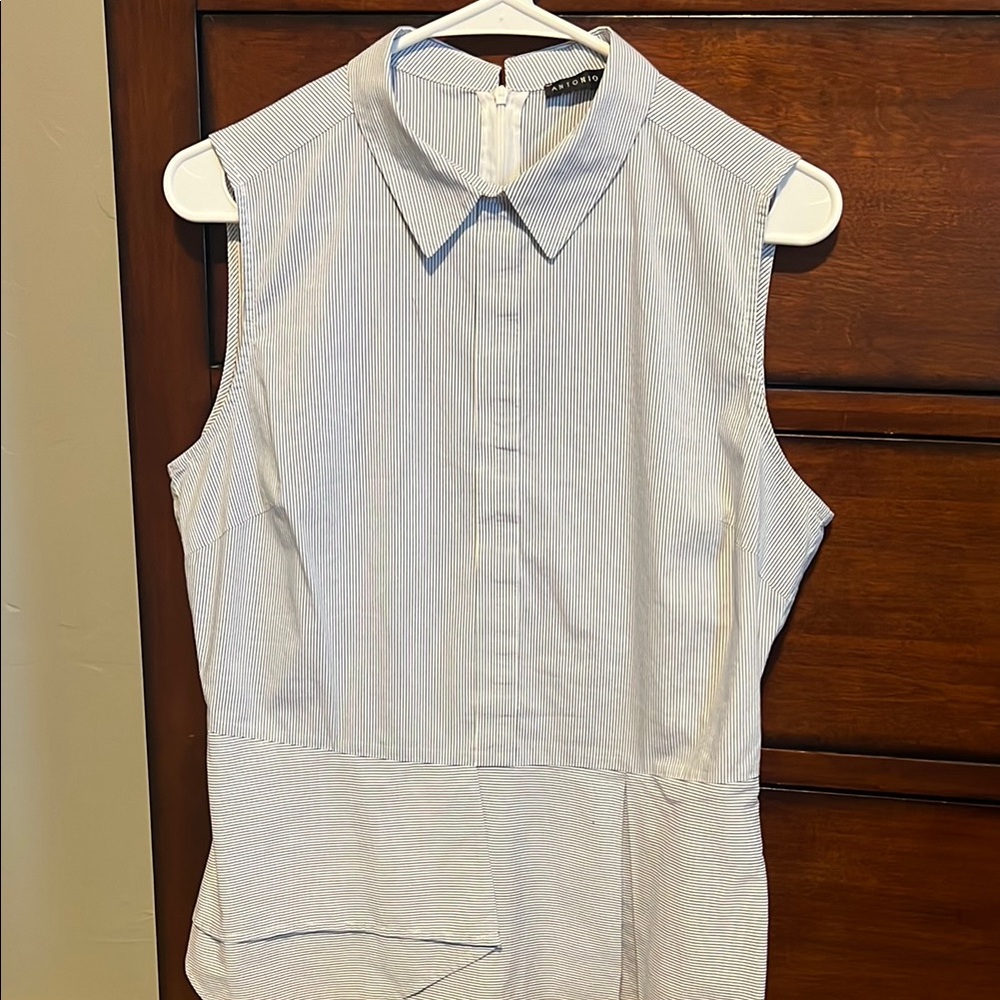 Striped Sleeveless Antonio Melani Blouse